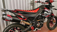 Kit carenatura e decorazioni Radical Racing