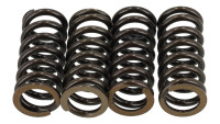 Set di molle per valvole Fasstek Racing