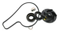 Kit di riparazione per pompa dell'acqua KTM OEM Kit di riparazione per pompa dell'acqua KTM OEM
