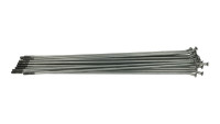 Raggio Beta OEM