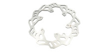 Disco freno ZF Sprocket