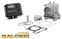 Kit cilindro 183 cc e centralina di tuning Malossi Kit cilindro 183 cc e centralina di tuning Malossi