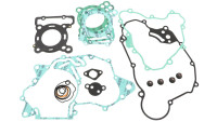 Set di guarnizioni Motoflow Set di guarnizioni Motoflow