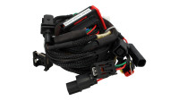 Modulo di chiptuning per centralina ECU Racedynamics Powertronic V4