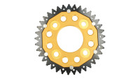 Pignone ZF Sprocket