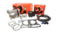 Kit cilindri e centralina di tuning Malossi 166 cc Force Master 2.1