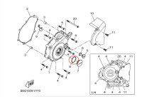 Guarnizione per vite di fissaggio del carter della frizione Yamaha OEM