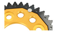Pignone ZF Sprocket