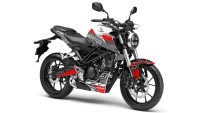 Decorazione Radical Racing Decorazione Radical Racing