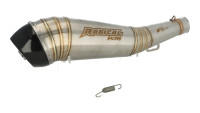 Silenziatore terminale Slip-On Radical Racing GP Carbon