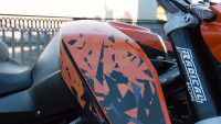 Decorazione Radical Racing Decorazione Radical Racing