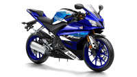 Decorazione Radical Racing Decorazione Radical Racing