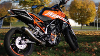 Decorazione Radical Racing Decorazione Radical Racing