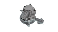 Pompa dell'acqua Motoflow