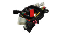 Modulo di chiptuning per centralina Racedynamics Powertronic V4