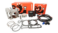 Kit cilindri e centralina di tuning Malossi 166 cc Force Master 2.1