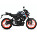 MT 125, 2021 bis 2024, RE40 - Euro5
