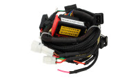 Modulo di chiptuning per centralina ECU Racedynamics Powertronic V4