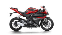 Decorazione Radical Racing Decorazione Radical Racing