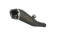 Auspuffanlage Radical Racing GP Carbon FORCE Black Line Auspuffanlage Radical Racing GP Carbon FORCE Black Line
