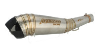 Silenziatore terminale Slip-On Radical Racing GP Carbon