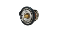Termostato Suzuki OEM