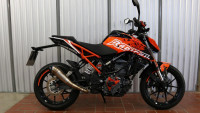 Decorazione Radical Racing Decorazione Radical Racing