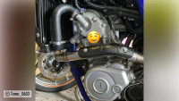 Collettore da gara Arrow Collettore da gara Arrow