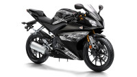 Decorazione Radical Racing Decorazione Radical Racing