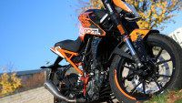Decorazione Radical Racing Decorazione Radical Racing