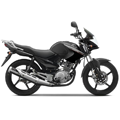 YBR 125, 2008 bis 2016, RE071