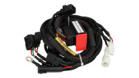 Modulo di chiptuning per centralina ECU Racedynamics Powertronic V4