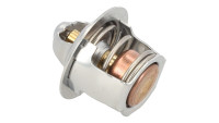 Termostato OEM Yamaha