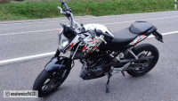 Decorazione Radical Racing Decorazione Radical Racing