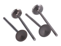 Set di valvole per testata Set di valvole per testata