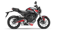 Decorazione Radical Racing Decorazione Radical Racing