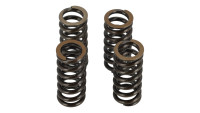 Set di molle per valvole Fasstek Racing