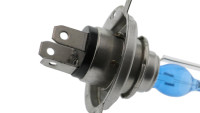 Glühlampe / Birne Glühlampe / Birne