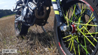 Spokes-/ Speichen Cover Set Radical Racing Spokes-/ Speichen Cover Set Radical Racing