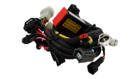 Modulo di chiptuning per centralina Racedynamics Powertronic V4