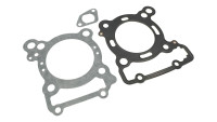 Kit cilindri e centralina di tuning Malossi 166 cc Force Master 2.1