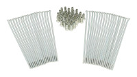 Set di cuscinetti Yamaha OEM