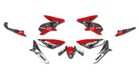 Decorazione Radical Racing Decorazione Radical Racing