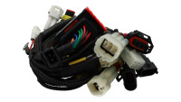 Modulo di chiptuning per centralina Racedynamics Powertronic V4