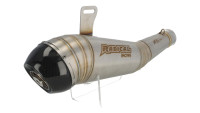 Silenziatore terminale Slip-On Radical Racing GP Carbon