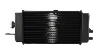 Radiatore Piaggio OEM