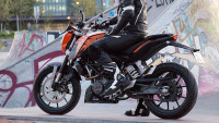 Decorazione Radical Racing Decorazione Radical Racing