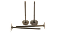 Set di valvole per testata Set di valvole per testata