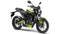 Decorazione Radical Racing
