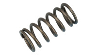 Molla della frizione Kawasaki OEM